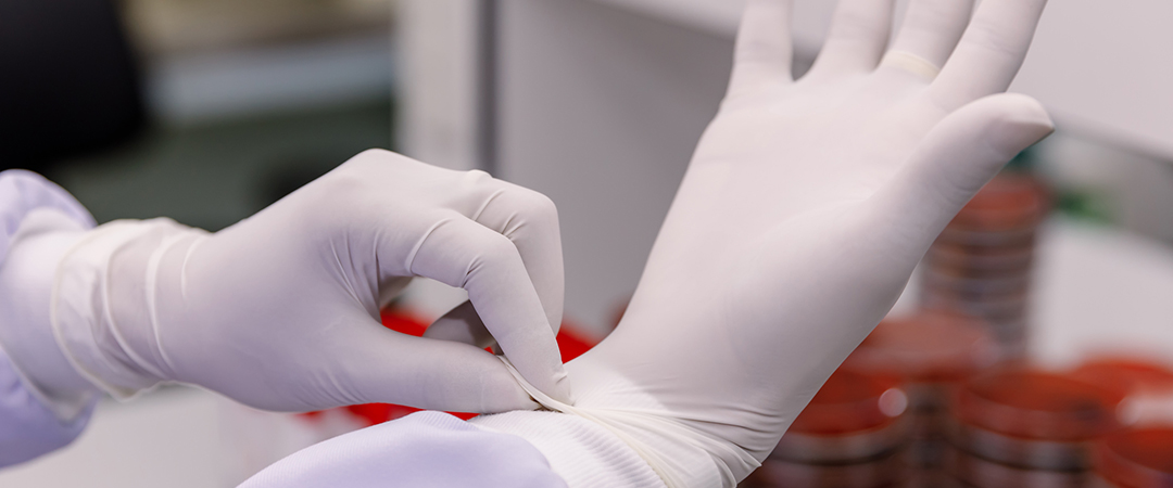 Doctor putting on sterile gloves isolated on white..